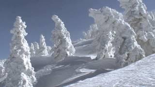 Hakkoda Snowshoe Hiking