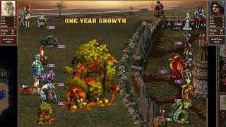 Heroes 3 COMBAT One year growth Cove was attacked by Preserve