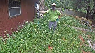 New HART 40V Battery String Trimmer Versus Hip-High Weeds (Overgrown Yard, Oddly Satisfying)