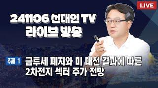 금투세 폐지와 미 대선 결과에 따른 2차전지 섹터 주가 전망 #2차전지 #선대인