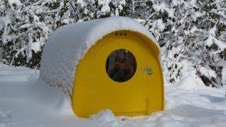 Homeless or emergency shelter