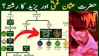 Hazrat Usman Ghani Family Tree | Is he related to Yazid?