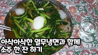 아삭아삭한 열무냉면과 함께 소주 한 잔 하기 / K-Food: Crunch Taste Yeolmu-Kimchi Naengmyeon / Cold Noodle With Soju