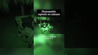 HUMANOIDE captado en cámara | Videos de Terror Reales | Terror y Leyendas