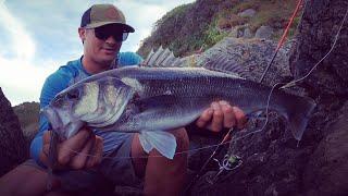 This LURE Turned them On - SUMMER BASS FISHING - LURE fishing in DEEP WATER from a ROCKY LEDGE