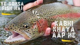 Kabhi Khaya Aap Ne Ye Fish With Bamboo Recipe || Arunachal Fish || Fish Lover || Lakhan Weekly