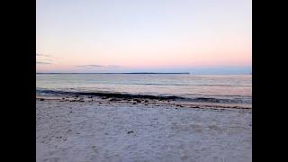 Van trips - Central coast and Jervis Bay