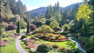 The Butchart Gardens