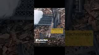 ЗАБОР из пластиковых ящиков своими руками #дача #огород #урожай #своимируками