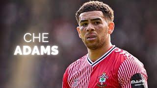 Che Adams - Season Highlights | 2024