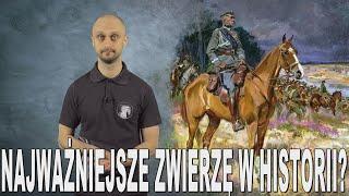 Najważniejsze zwierzę w historii? - historia koni. Historia Bez Cenzury