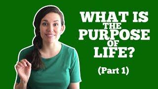 The Plan (part 1) #purposeoflife #godsplan