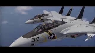 Grumman F-14 Tomcat   Aero-Pictures  - Remembered as Best of the Best