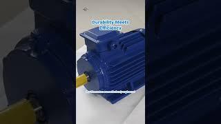 Discover the Art of Precision with HSP Motor!