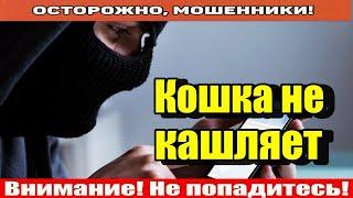 Мошенники звонят по телефону / Новый развод, звонок из поликлиники..