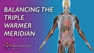 Balancing the Triple Warmer Meridian | Fundamental Applied Kinesiology