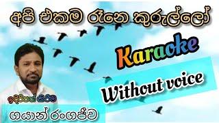 අපි එකම රෑනෙ කුරුල්ලෝ | Karaoke | Api ekama rane kurullo | Without Voice | Siyasara Music Room