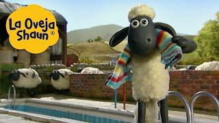 La Oveja Shaun  Fiesta de piscina  Dibujos animados para niños