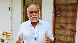 Kaalapatti காளபட்டி Pigeon lineage , ask request and questions to subscribers in end of the video