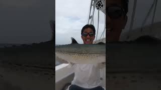 Fishing in the British Virgin Islands: Spanish Mackerel, Blue Runner, Barracuda