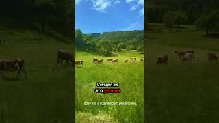 Больше о жизни в Словении смотрите на моем Ютуб канале #словения #жизньвевропе #hrastnik