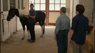 Cougar Town - Chick's Horse