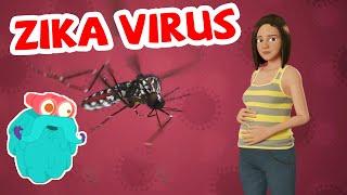 Lo que debe saber sobre el virus del Zika | Ciencias para niños