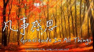 Gratitude In All Things | Soaking Music | Piano Music | Prayer | 1 HOUR Instrumental Soaking Worship