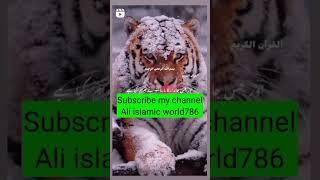 Zina ke pass bhi na jana#new#shortsvideo#viralvideo#Ali#islamic#world786#2023