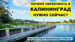 Переезжать в Калининград сейчас выгодно. Почему? Иммиграция в Европу. Плюсы, минусы, работа #19