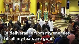 Livestream Mass from Saint John Neumann, Sunbury, OH