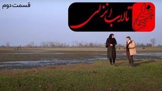 مستند تنهایی - صدای آب - تالاب انزلی - قسمت دوم | Anzali Lagoon