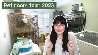 Pet room tour 2023 | Rodents & Reptiles