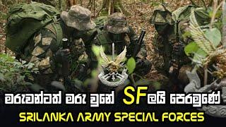 3rd Regiment Srilanka Army Special Forces-Srilanka Army Special Forces