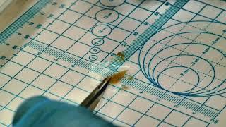 Tissue Cutting for TEM Processing