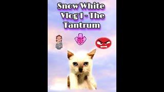 Cute Kitten - Snow White - Vlog 1. The Tantrum