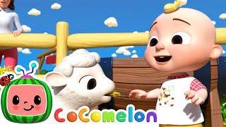 Ol' MacDonald - Baby Animal Version | CoComelon Furry Friends | Animals for Kids