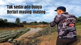 Gempar! Buaya muncul saat kami memancing di sungai jenderam