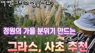 가을 분위기 물씬 풍기는 그라스/사초 추천, 정원에 어떤 그라스 심을까요?, 3년동안 정원에서 키운 그라스