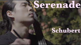 Schubert - Serenade Double Bass Minje Sung