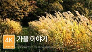 가을 이야기 | 가을 | 자연풍경ㅣSONY A7M4 | 힐링음악 | PLAYLIST | Autumn Story