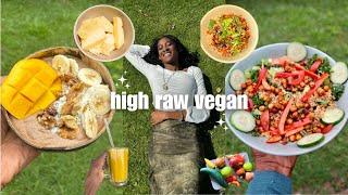 HIGH RAWwhat i eat in a day vegan | new cookbook??? creamy chia pudding, quinoa kale salad,