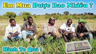 Các Em Trả Được Bao Nhiêu ? Liệu Ước Muốn Của Thầy Hiệu Trưởng Có Trở Thành Hiện Thực ?
