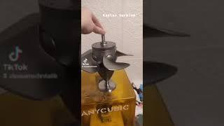 Kaplan turbine model