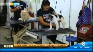 SYDNEES PET GROOMING I  KFMB TV  9 28 15 5am