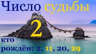 Число судьбы 2. Характер по дате рождения: 2, 11, 20 и 29 числа любого месяца. Джйотиш нумерология.