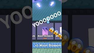 1000x Moonlit Points | Grow A Garden Roblox MOON BLOSSOM?!? 🪻 