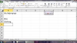 LO Enter data in Excel Independent Practice