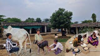 Traditional Desert Village Life In Rajasthan | Cow Milking | Goat Milking | Rural Life In India