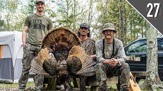 COLOR PHASE BIRD?! - Kentucky Public Land!